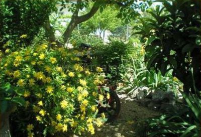 Apartmani Faros