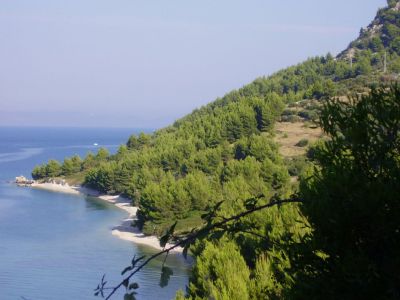 Apartman Oleandar