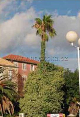 Apartmani BILIĆ Orebić