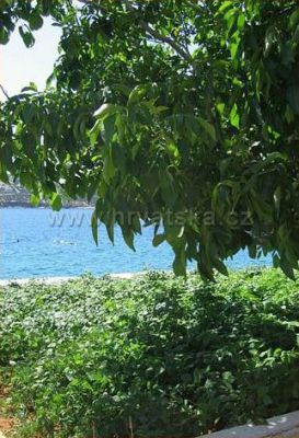 Apartmani Kaštel