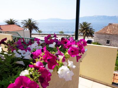 Apartmani Kod Jure