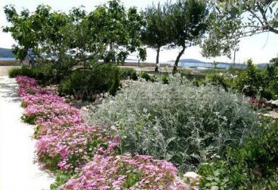 Apartmani Plaža