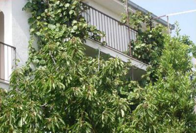 Apartmani PRIŽMIĆ