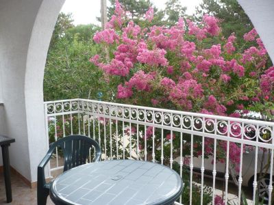 Villa Apartmani Žana