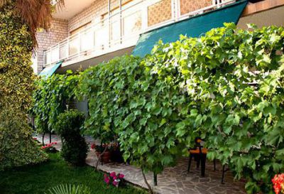 Apartmani Zorka