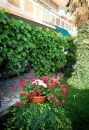 Apartmani Zorka