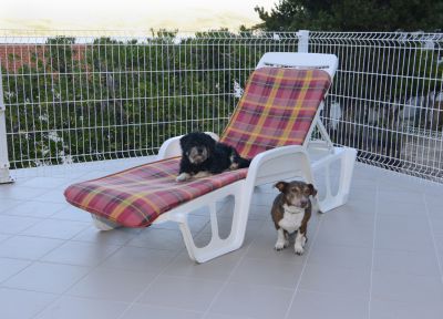 Apartman Iva