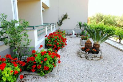 Apartmani DALMATINA
