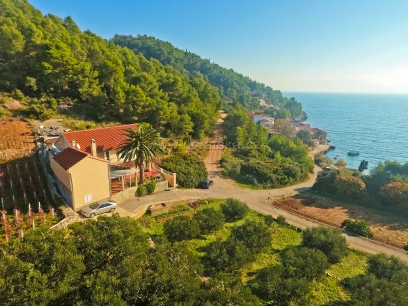 Apartmani Ana