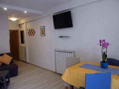 Apartmani MARKO Novigrad Istra