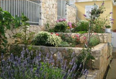 Venera apartmani