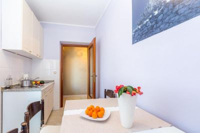AVA Apartments