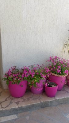Apartmani Lucija