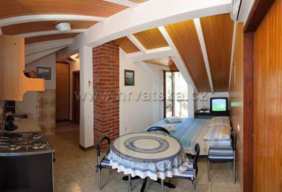 Apartman Bižaca***