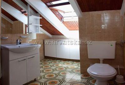 Apartman Bižaca***