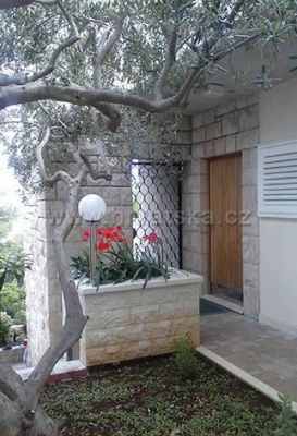 Apartman Bižaca***