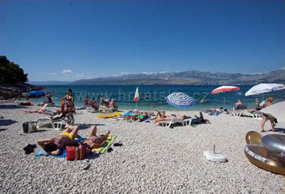 Apartman Bižaca***