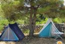 Kamp Arboretum