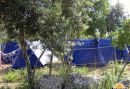 Kamp Arboretum