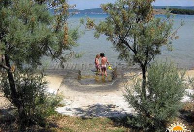 Kamp Arboretum