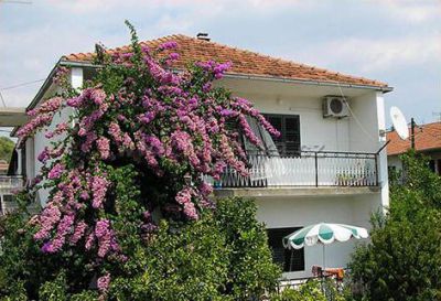 Adriatic Apartman Ćudina