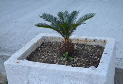 Apartmani Teo i Vedrana Cvitanović