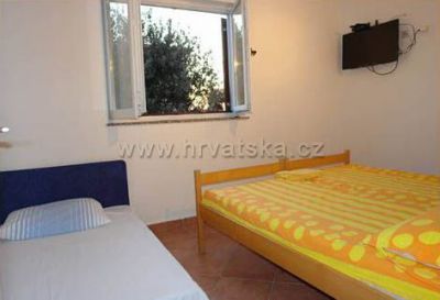 Apartments Mandre Damir