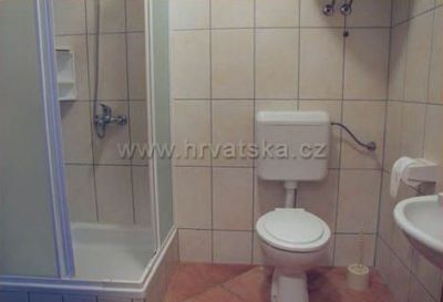 Apartments Mandre Damir