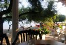Apartments DARIJA