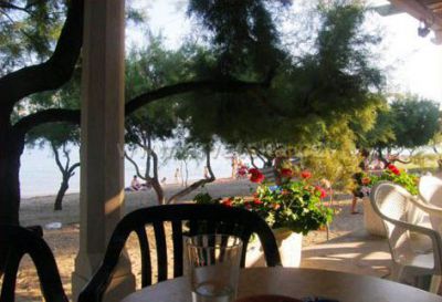 Apartments DARIJA