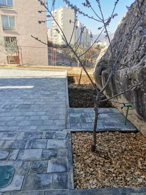 Apartman Đoni