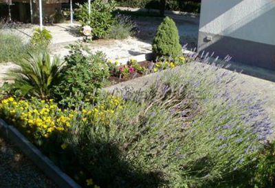 Apartmani Grgin