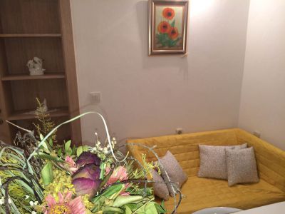 Apartmani s bazenom Ivana