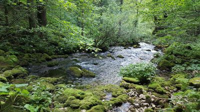 B&B Plitvice