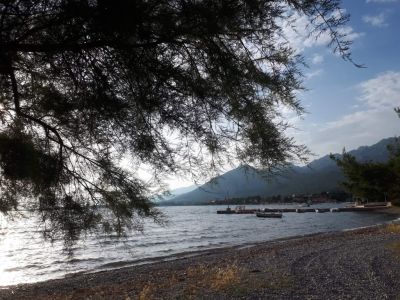 Apartments Katarina Seline