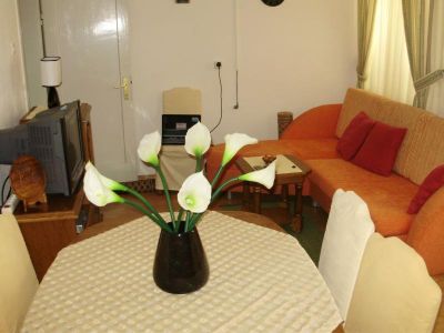 Apartman Kod Vlaha