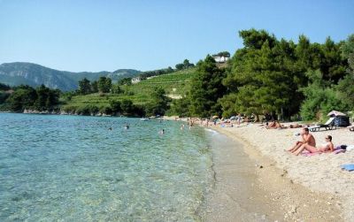 Apartman Kod Vlaha