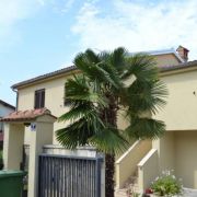 Apartmani Lera