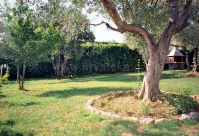 Apartmani Lucija