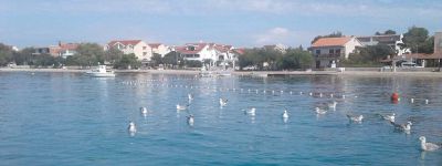 Apartmani Lušić Srima - Vodice