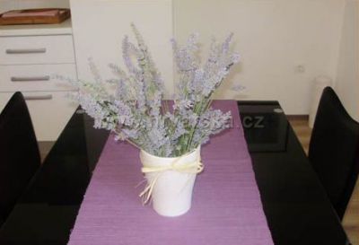 Apartmani Magaš i Iris