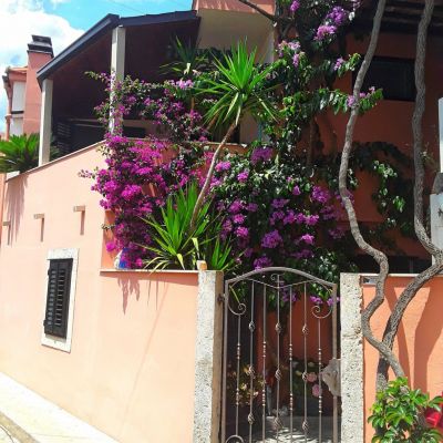Apartmani Nina
