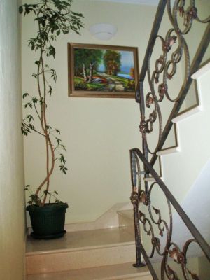 Apartmani Nina