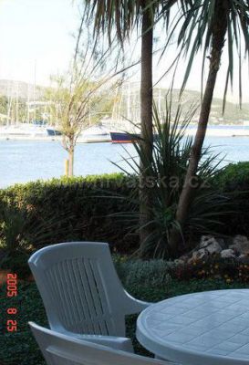Apartmani Olea
