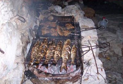 OLIVE GARDEN Apartments