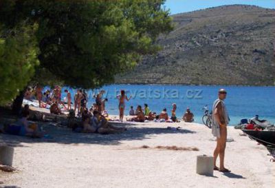 OLIVE GARDEN Apartments