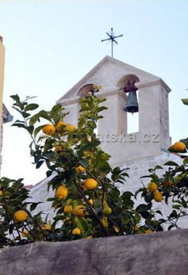 Apartmani PARADISO