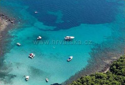 Apartman Vesna