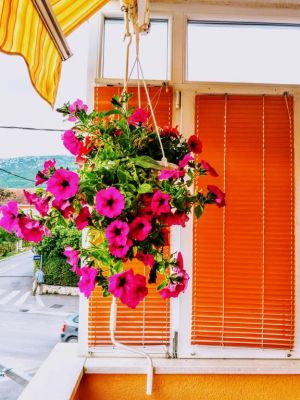 Apartman Radalj