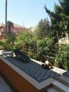 Apartman Radalj